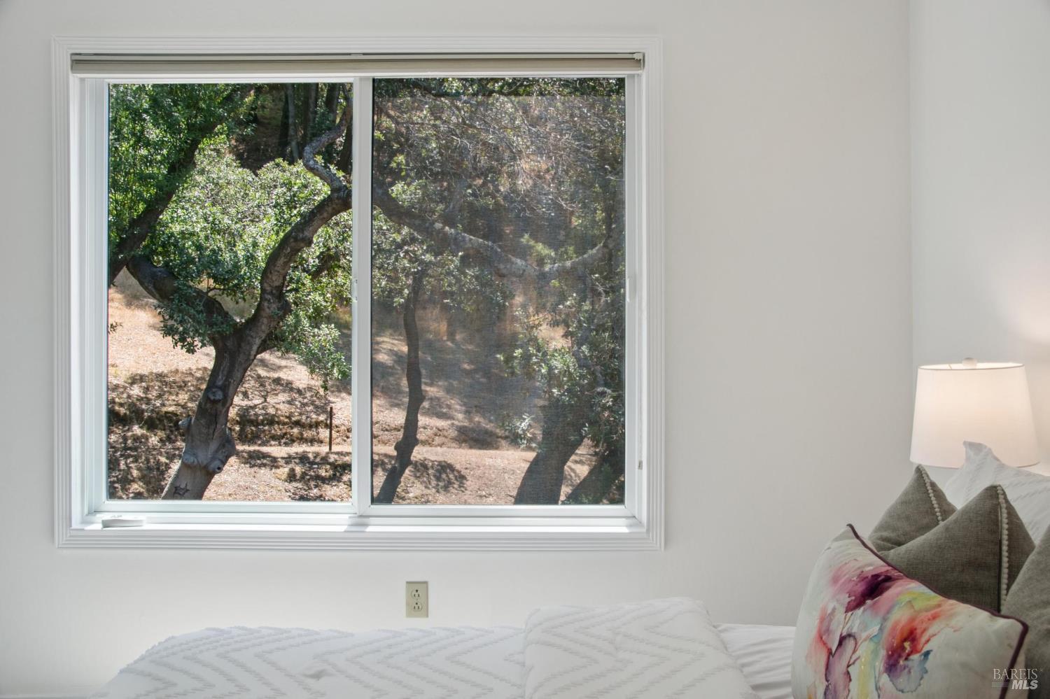 Detail Gallery Image 36 of 53 For 18 Eagle Gap Rd, Novato,  CA 94949 - 4 Beds | 2/1 Baths