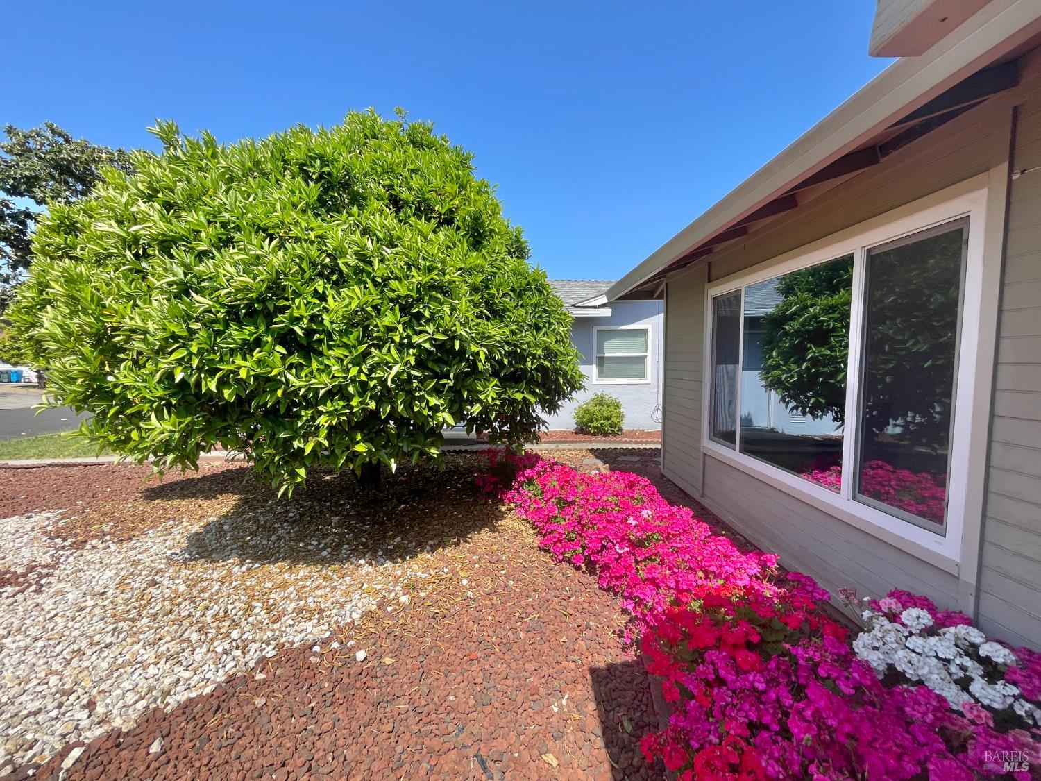 Detail Gallery Image 4 of 30 For 103 Olympic Cir, Vacaville,  CA 95687 - 2 Beds | 2 Baths