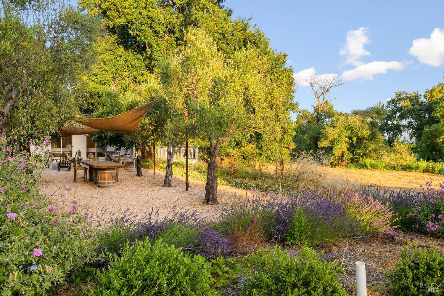 Detail Gallery Image 19 of 26 For 691 Silverado Trl, Saint Helena,  CA 94574 - 2 Beds | 2 Baths