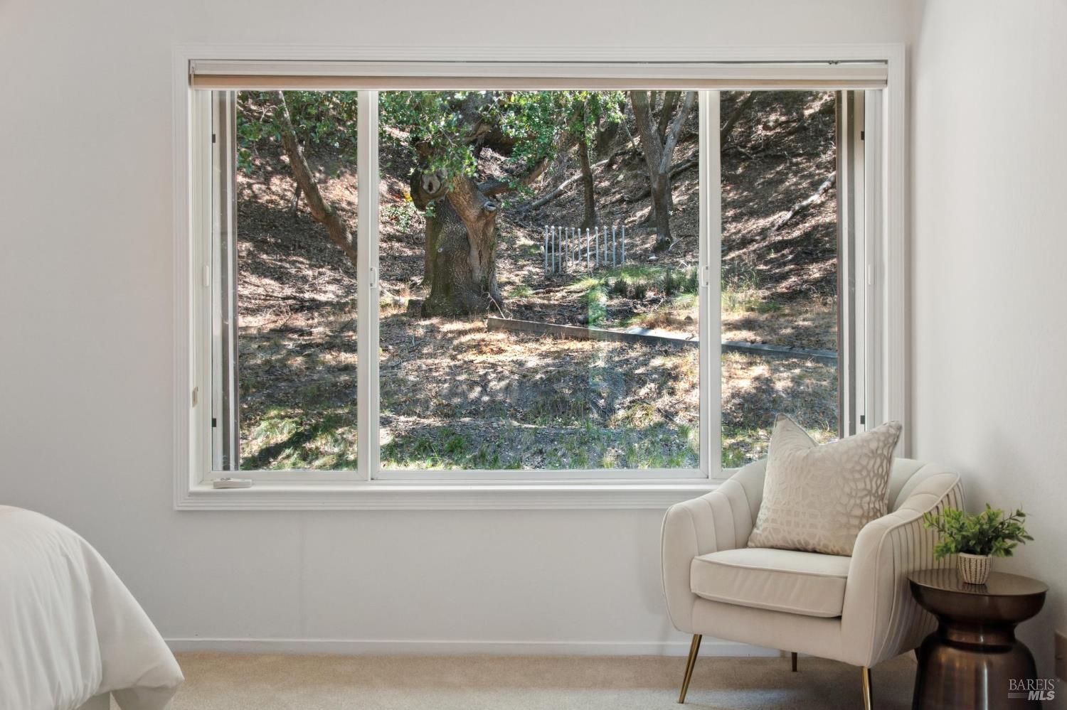 Detail Gallery Image 21 of 53 For 18 Eagle Gap Rd, Novato,  CA 94949 - 4 Beds | 2/1 Baths