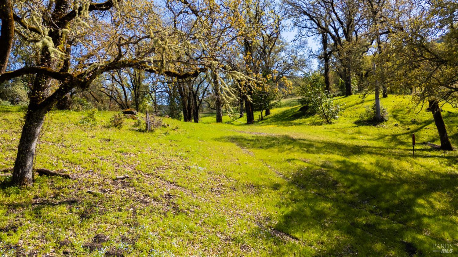 Detail Gallery Image 22 of 27 For 10301 E Highway 20 Rd, Potter Valley,  CA 95469 - 0 Beds | 0 Baths