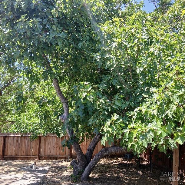 Detail Gallery Image 25 of 32 For 1103 Mitzi Dr, Calistoga,  CA 94515 - 3 Beds | 2 Baths