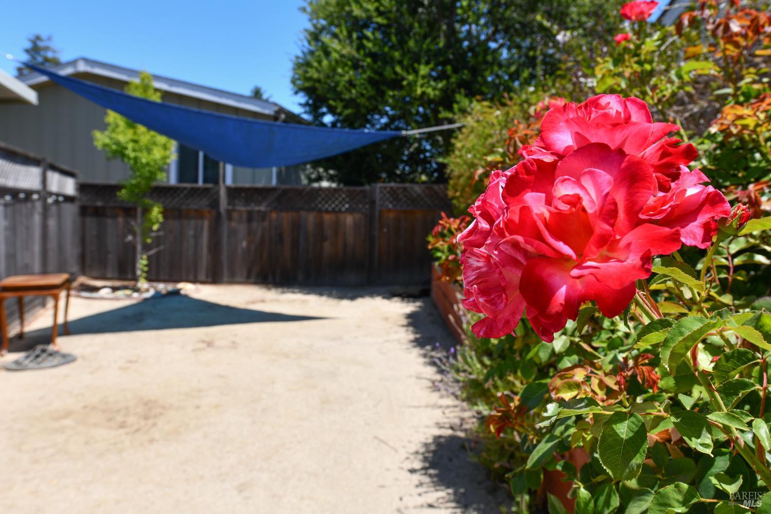 Detail Gallery Image 52 of 62 For 84 N Napa Dr, Petaluma,  CA 94954 - 3 Beds | 2 Baths