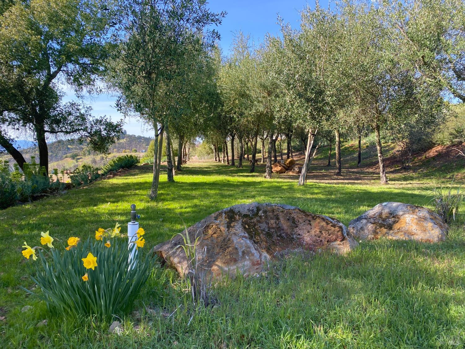 Detail Gallery Image 98 of 99 For 5925 Crystal Dr, Santa Rosa,  CA 95404 - 4 Beds | 4/1 Baths