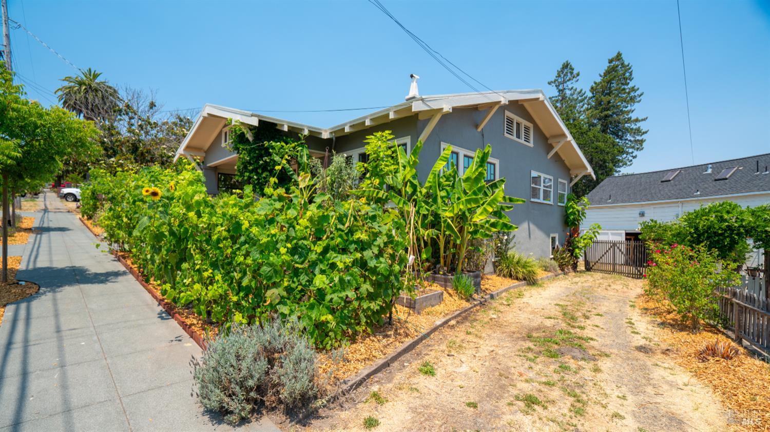 Detail Gallery Image 11 of 64 For 306 Howard St, Petaluma,  CA 94952 - 2 Beds | 1/1 Baths