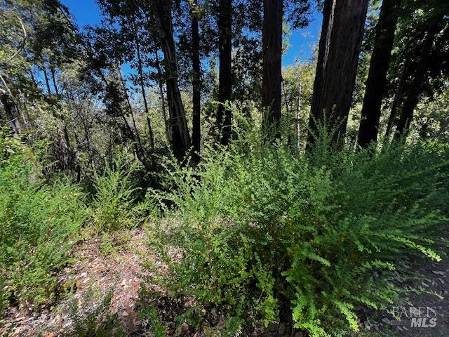 Detail Gallery Image 2 of 13 For 17599 Woods Ave, Guerneville,  CA 95446 - – Beds | – Baths
