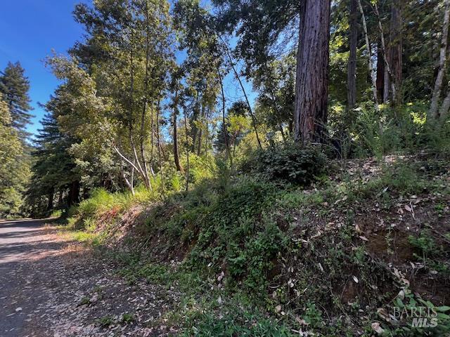 Detail Gallery Image 1 of 13 For 17599 Woods Ave, Guerneville,  CA 95446 - – Beds | – Baths