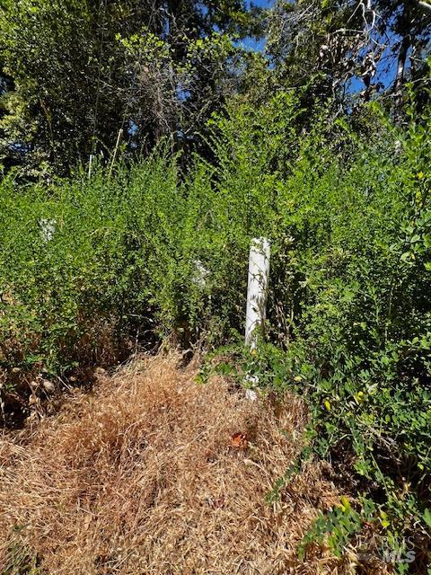 Detail Gallery Image 8 of 13 For 17599 Woods Ave, Guerneville,  CA 95446 - – Beds | – Baths