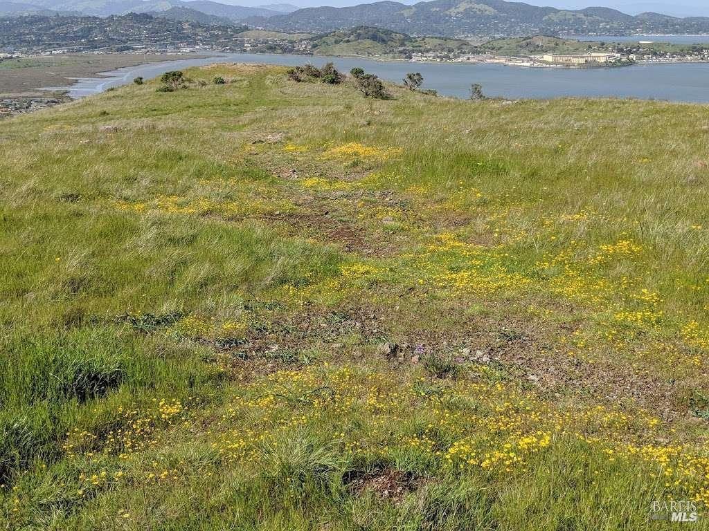Detail Gallery Image 52 of 67 For 89 Mariner Green Dr, Corte Madera,  CA 94925 - 4 Beds | 2/1 Baths