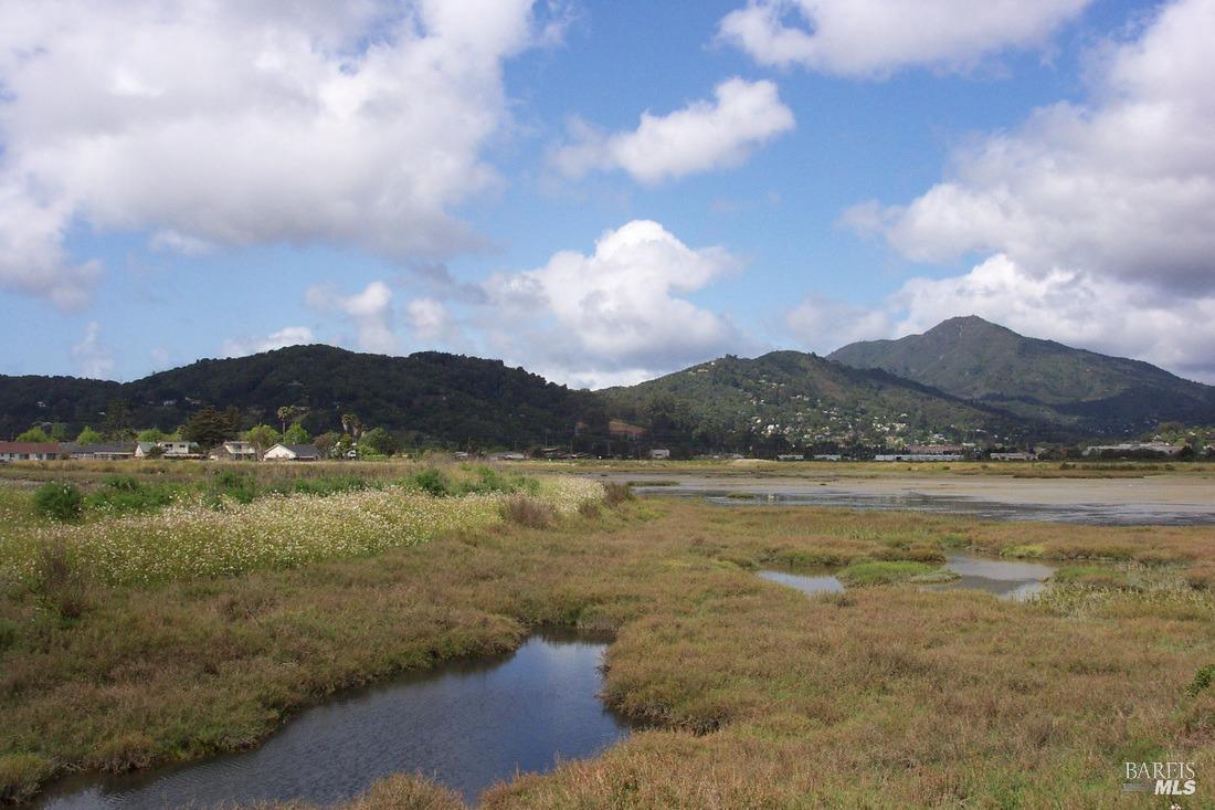Detail Gallery Image 55 of 67 For 89 Mariner Green Dr, Corte Madera,  CA 94925 - 4 Beds | 2/1 Baths