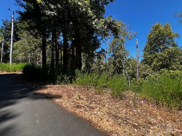 Detail Gallery Image 5 of 13 For 17599 Woods Ave, Guerneville,  CA 95446 - – Beds | – Baths