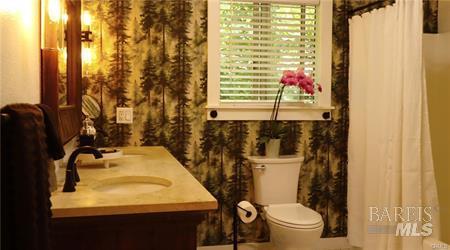 Detail Gallery Image 12 of 20 For 16520 Schwartz Rd, Cobb,  CA 95426 - 2 Beds | 1 Baths