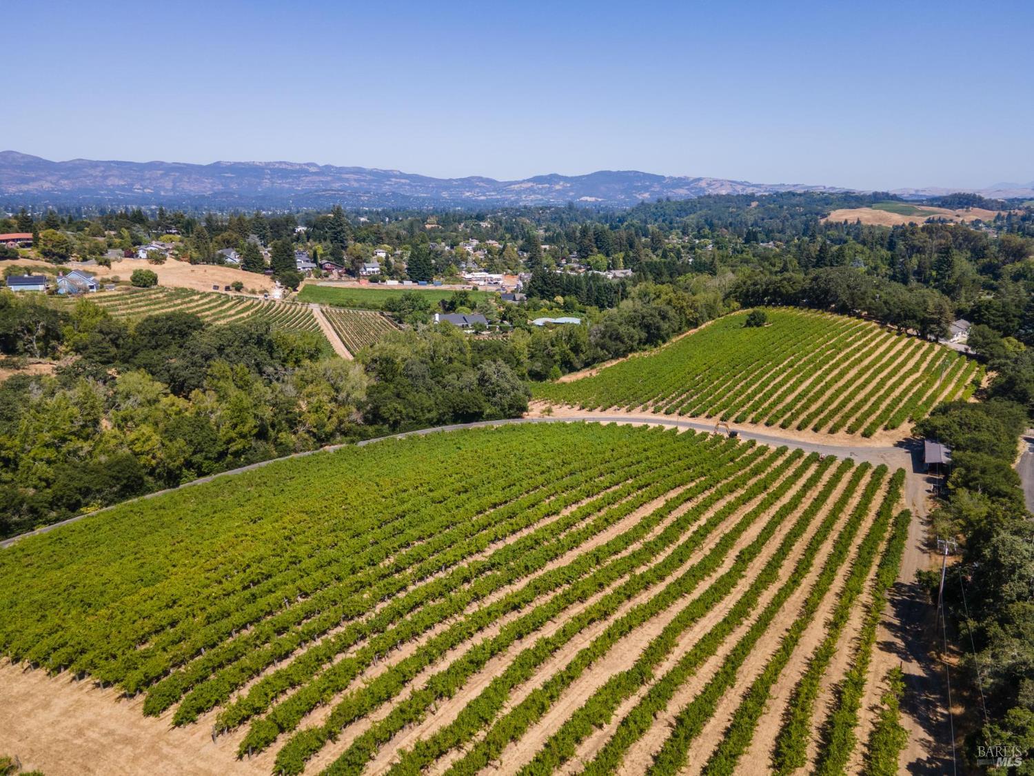 Detail Gallery Image 6 of 12 For 1250 Partrick Rd, Napa,  CA 94558 - – Beds | – Baths