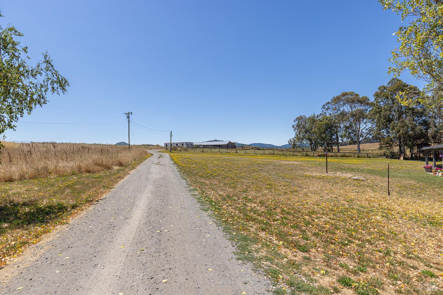 Detail Gallery Image 11 of 41 For 3803 Spring Hill Rd, Petaluma,  CA 94952 - 6 Beds | 5/1 Baths