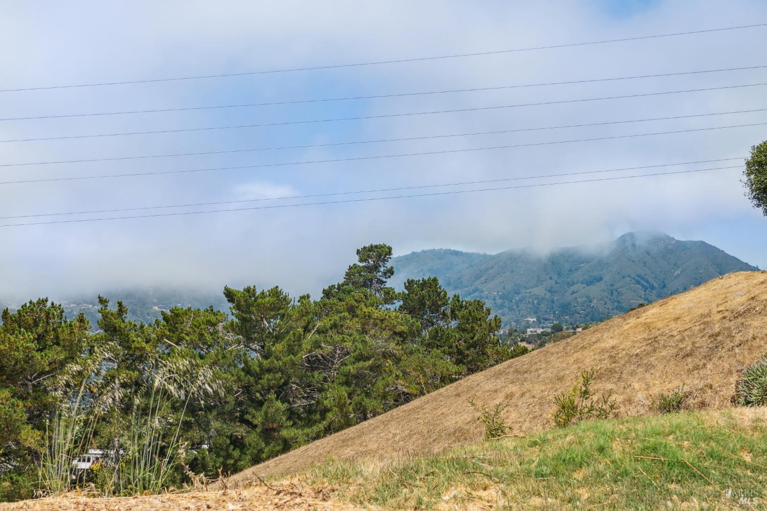 Detail Gallery Image 39 of 39 For 6 Coleridge Dr, Mill Valley,  CA 94941 - 3 Beds | 2/1 Baths