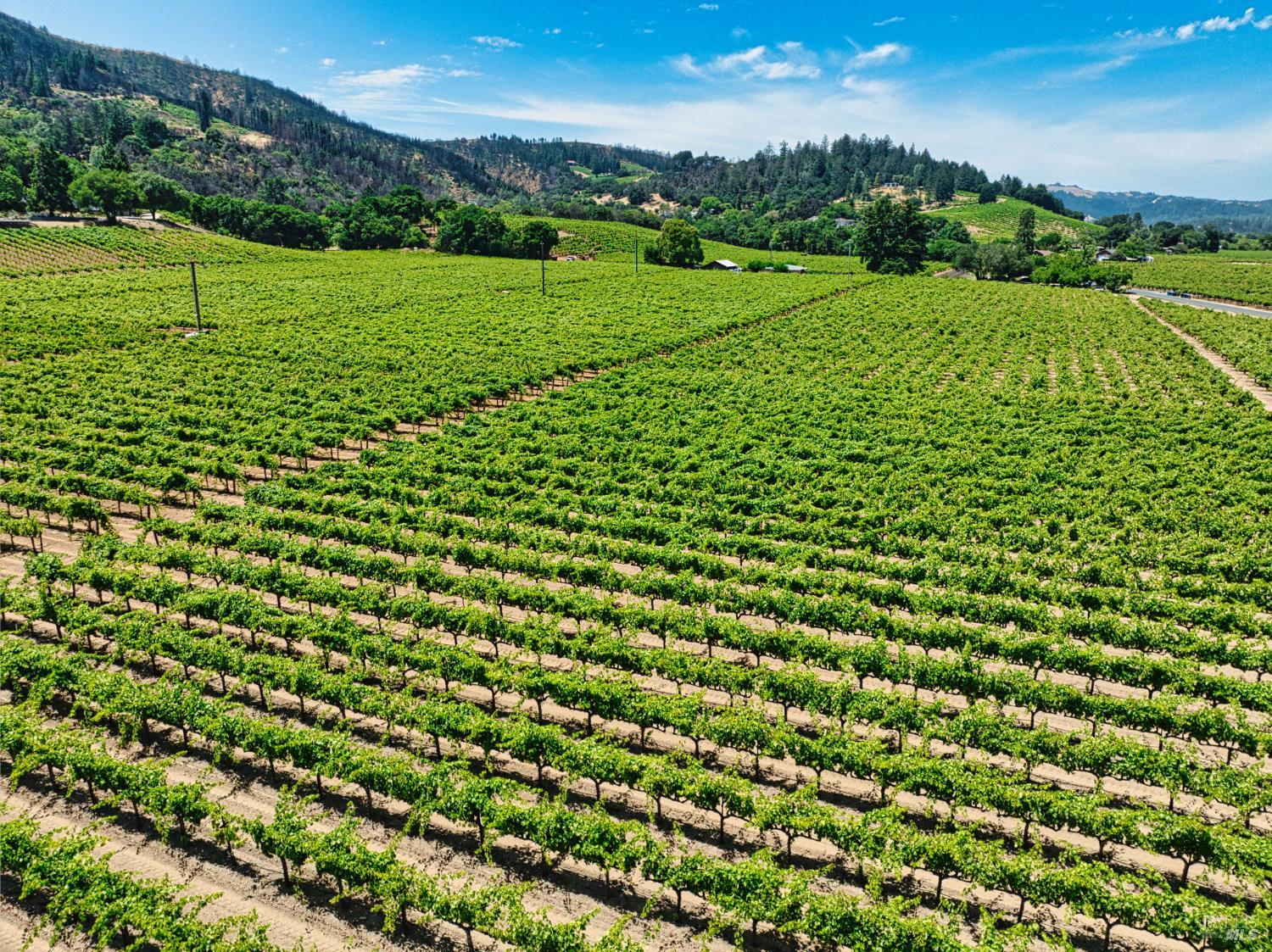 Detail Gallery Image 43 of 54 For 8011 West Dry Creek Rd, Healdsburg,  CA 95448 - – Beds | – Baths