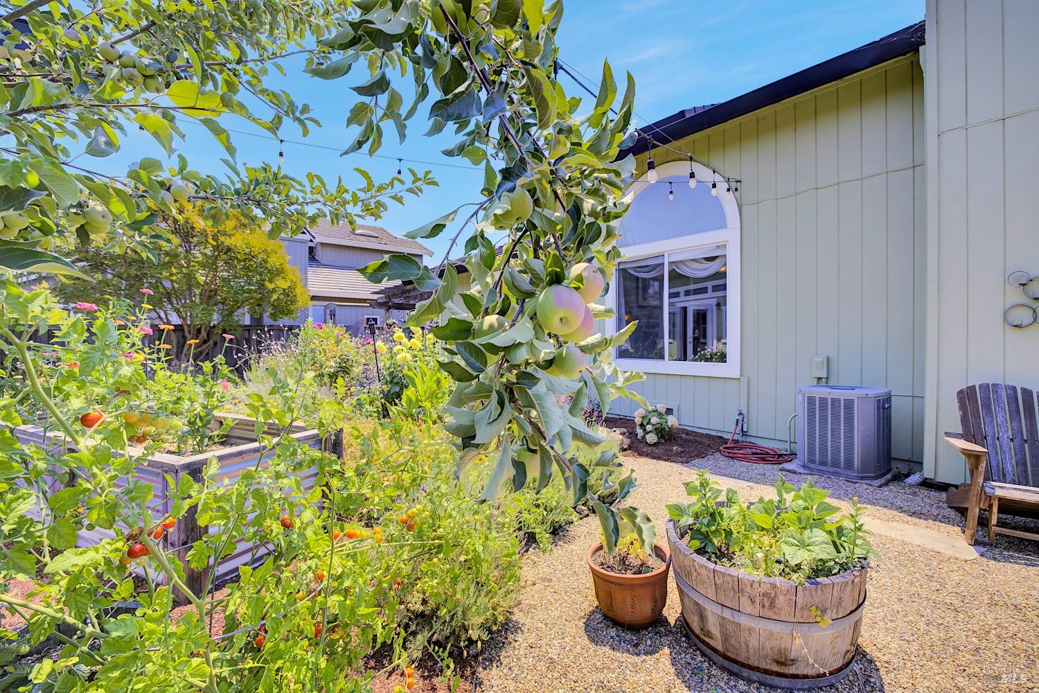 Detail Gallery Image 30 of 39 For 215 Flametree Cir, Windsor,  CA 95492 - 4 Beds | 3 Baths