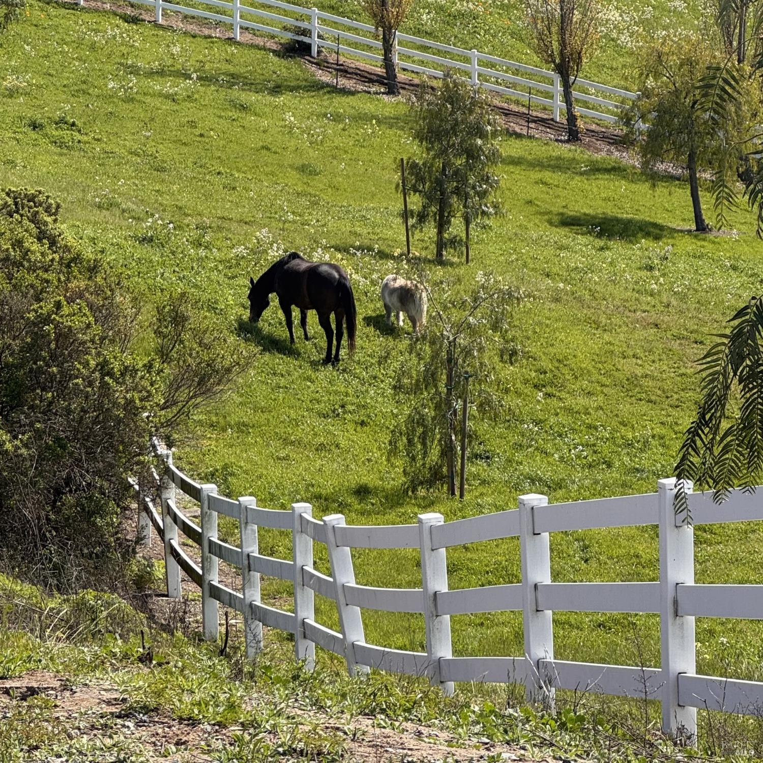 Detail Gallery Image 40 of 52 For 780 Rancho La Boca Rd, Martinez,  CA 94553 - 4 Beds | 2/1 Baths