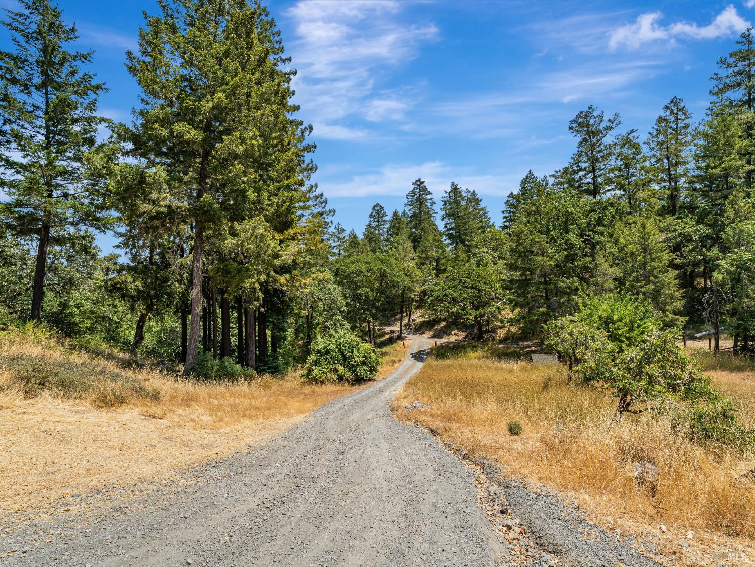 Detail Gallery Image 17 of 66 For 480 Pearl St, Cazadero,  CA 95421 - 3 Beds | 2 Baths