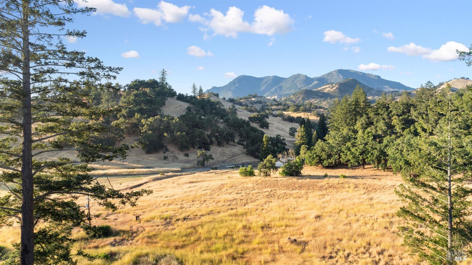 Detail Gallery Image 15 of 46 For 18907 State Highway 128 Unkn, Calistoga,  CA 94515 - 4 Beds | 3 Baths