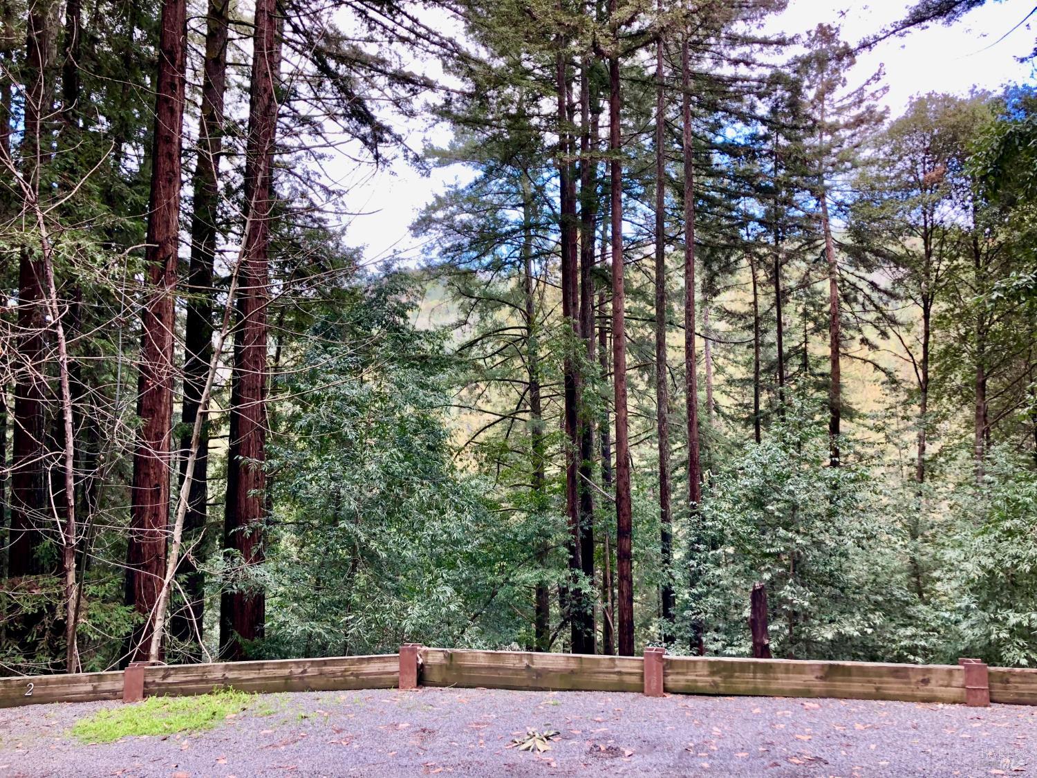Detail Gallery Image 37 of 47 For 17410 Park Ave, Guerneville,  CA 95446 - – Beds | – Baths