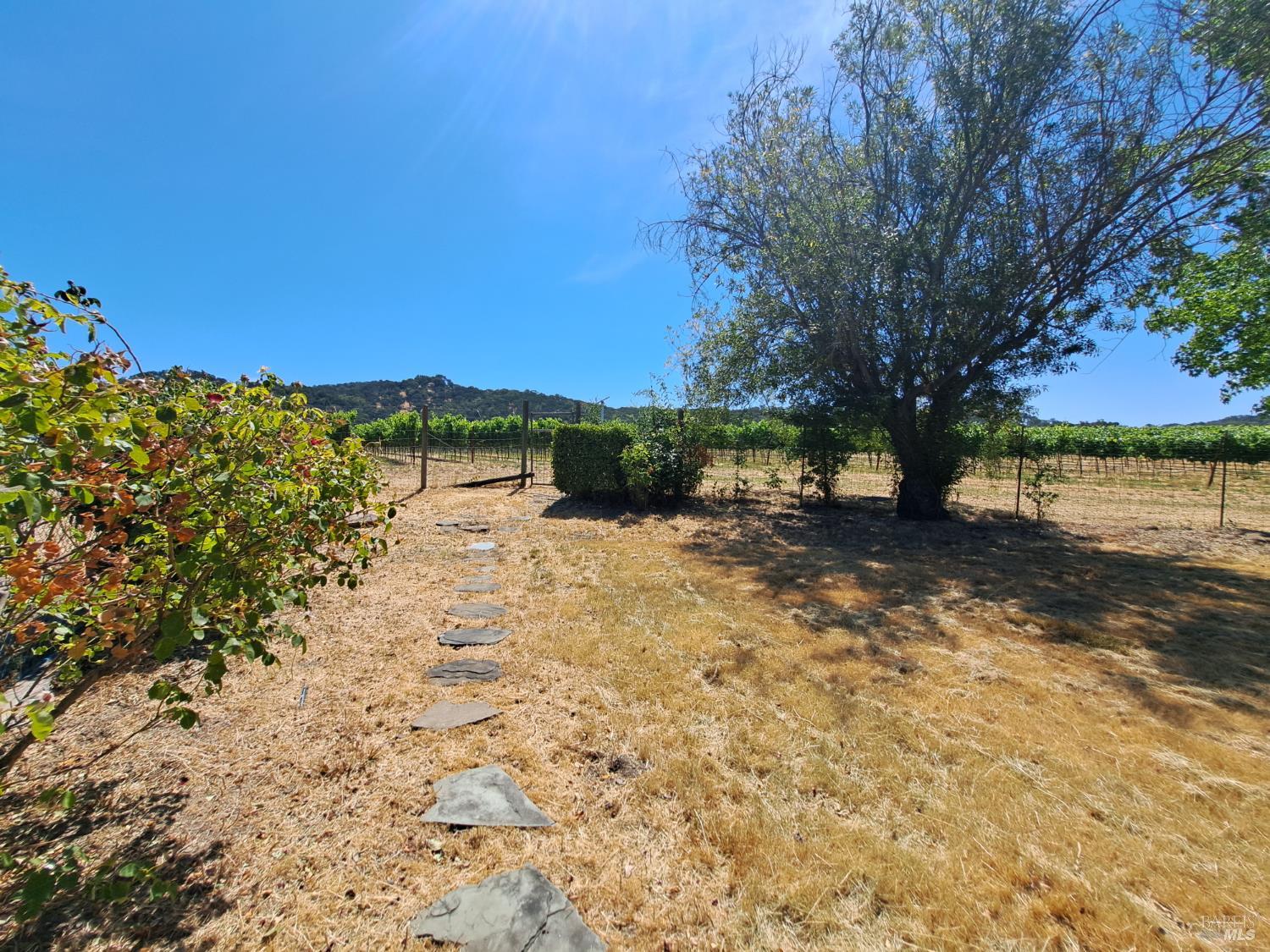 Detail Gallery Image 9 of 41 For 1705 Wooden Valley Rd, Napa,  CA 94558 - 1 Beds | 1 Baths