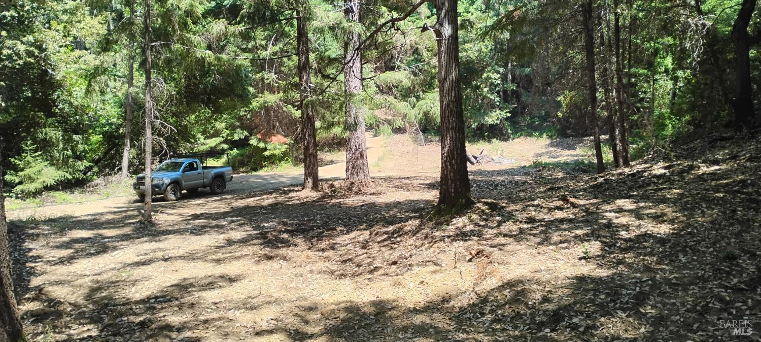Detail Gallery Image 31 of 41 For 9660 Branscomb Rd, Branscomb,  CA 95417 - – Beds | – Baths