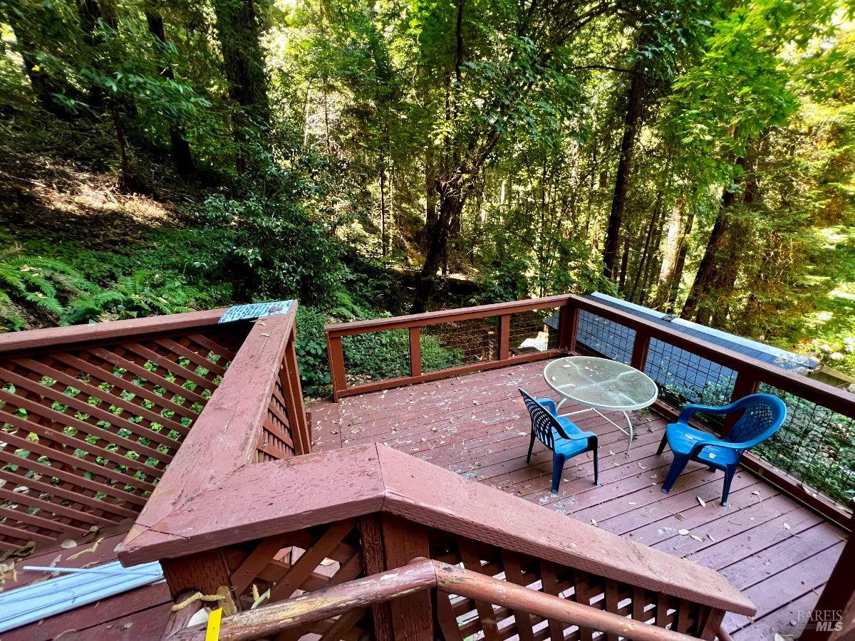 Detail Gallery Image 45 of 47 For 17410 Park Ave, Guerneville,  CA 95446 - – Beds | – Baths