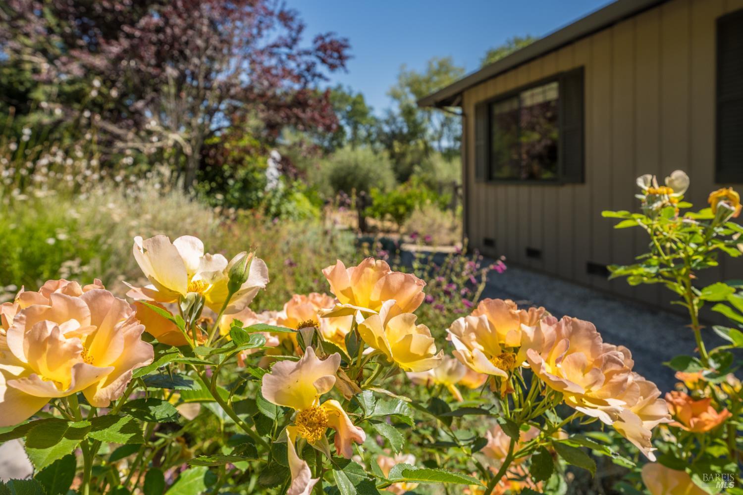 Detail Gallery Image 10 of 64 For 14856 Chalk Hill Rd, Healdsburg,  CA 95448 - 3 Beds | 2/1 Baths