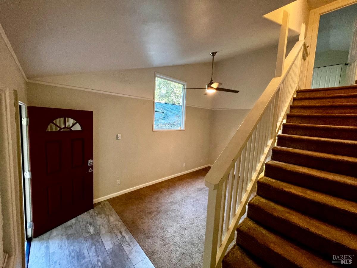 Detail Gallery Image 29 of 47 For 17410 Park Ave, Guerneville,  CA 95446 - – Beds | – Baths