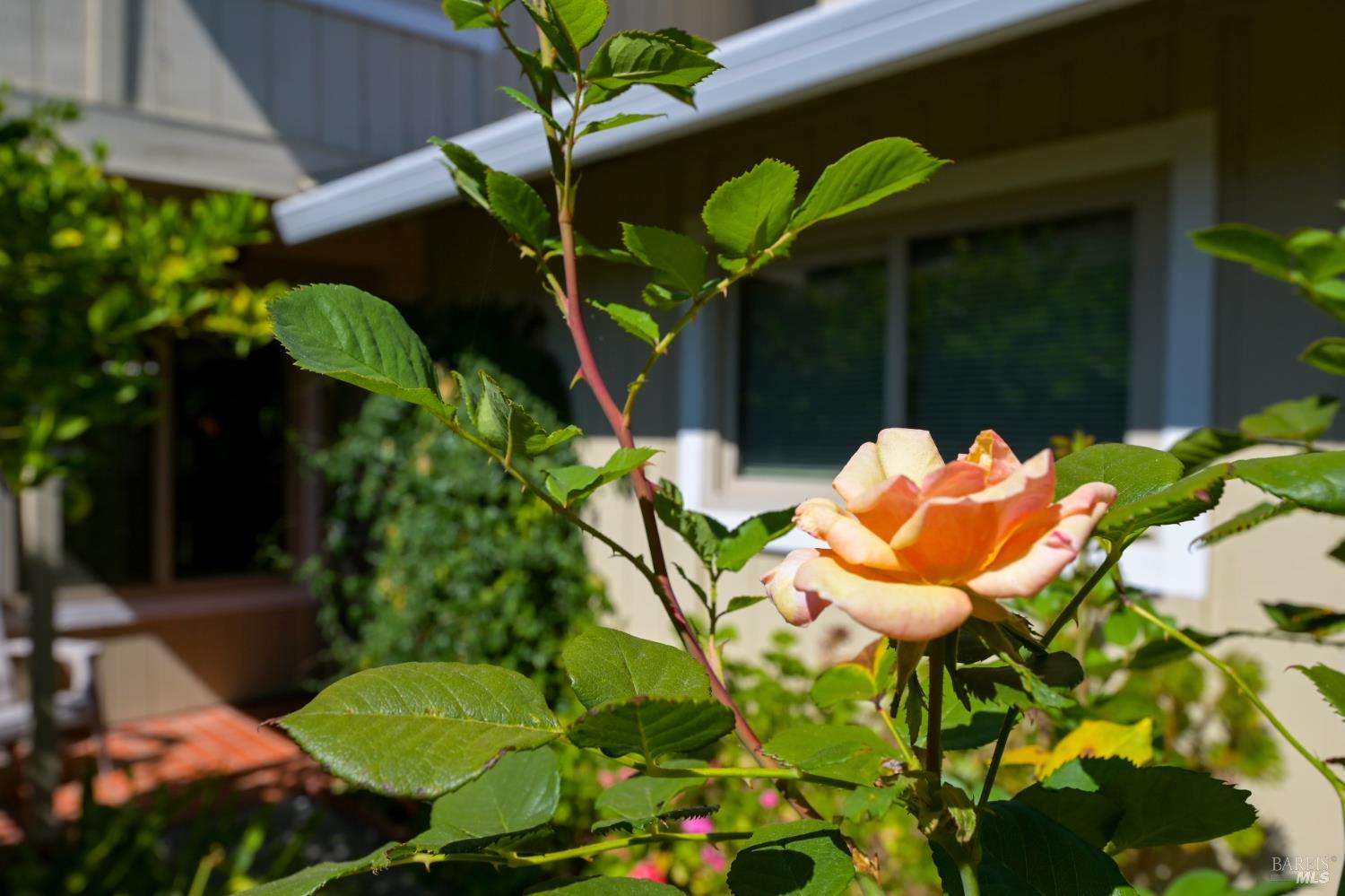 Detail Gallery Image 4 of 32 For 55 Salvatore Dr, Novato,  CA 94949 - 3 Beds | 2/1 Baths