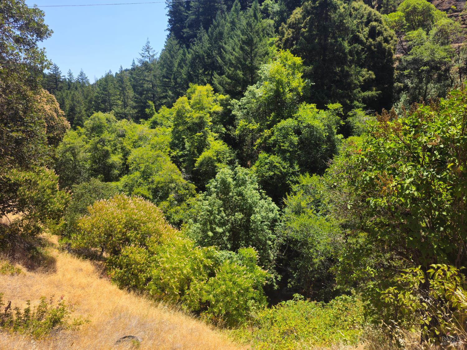 Detail Gallery Image 6 of 6 For 58901 Hwy 101 Hwy, Leggett,  CA 95585 - 1 Beds | 1 Baths