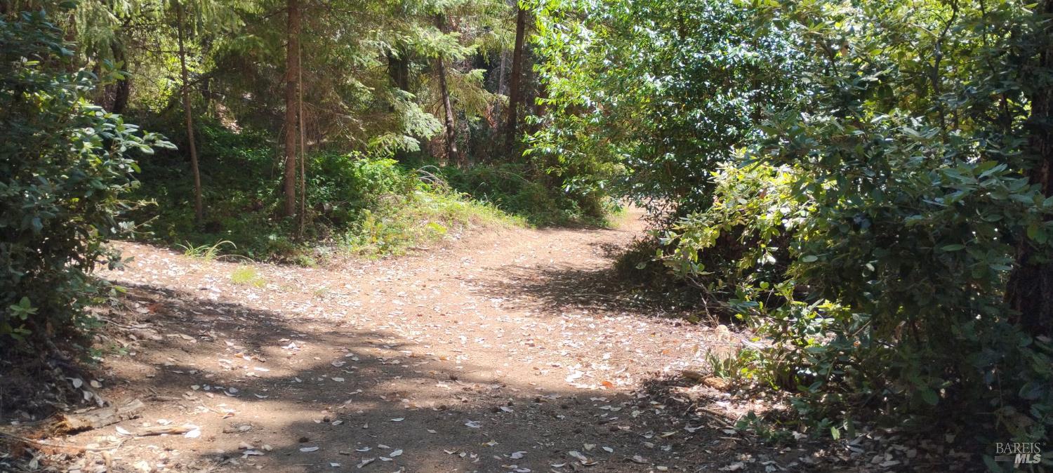 Detail Gallery Image 25 of 41 For 9660 Branscomb Rd, Branscomb,  CA 95417 - – Beds | – Baths