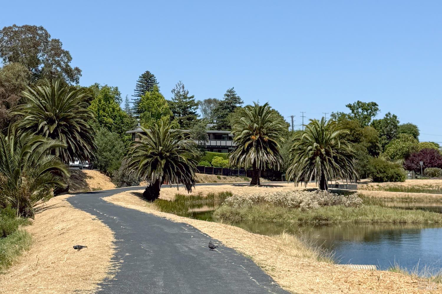 Detail Gallery Image 38 of 38 For 22 Redwood Ave, Corte Madera,  CA 94925 - 3 Beds | 2 Baths