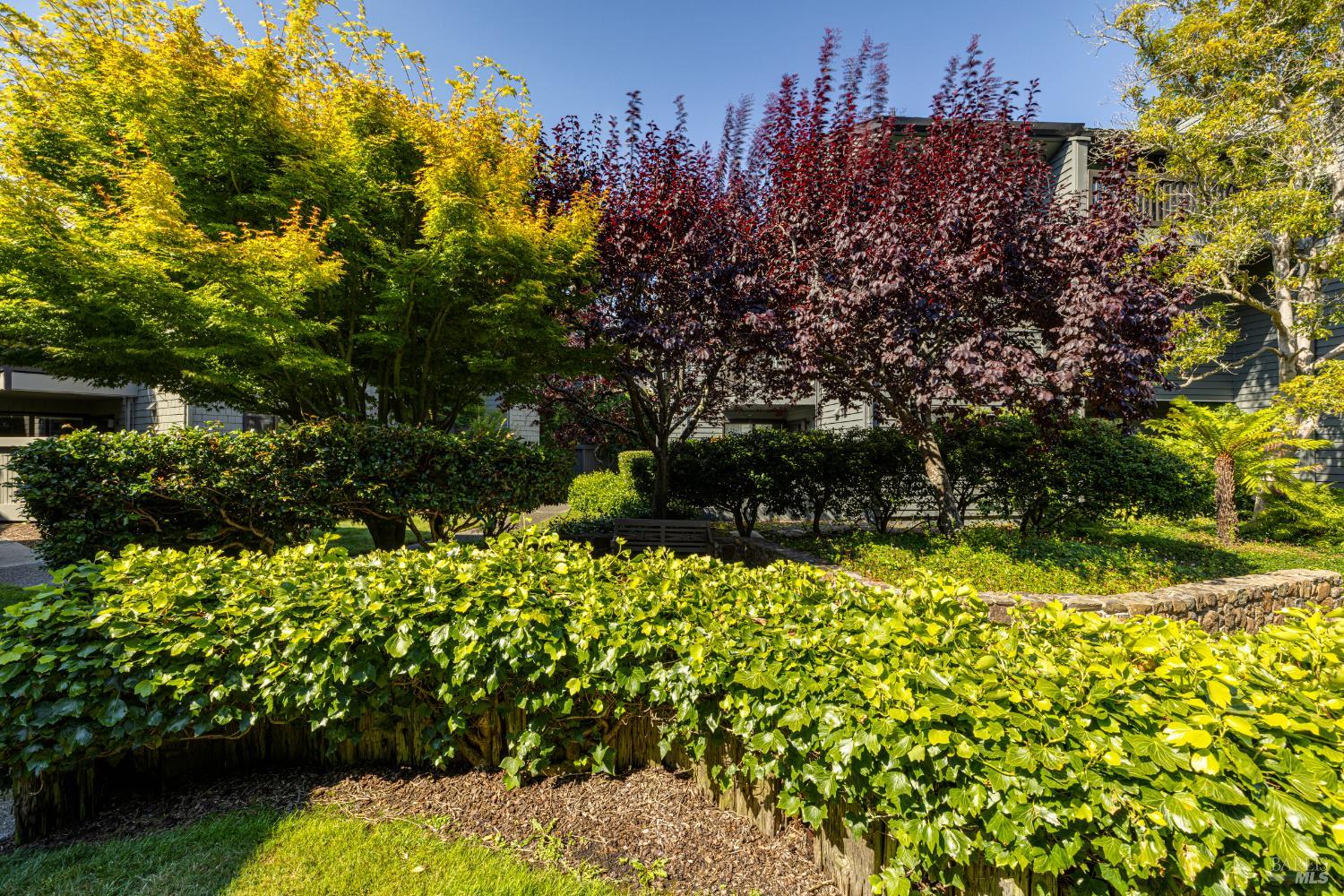 Detail Gallery Image 30 of 34 For 62 Cypress Pl, Sausalito,  CA 94965 - 2 Beds | 2 Baths