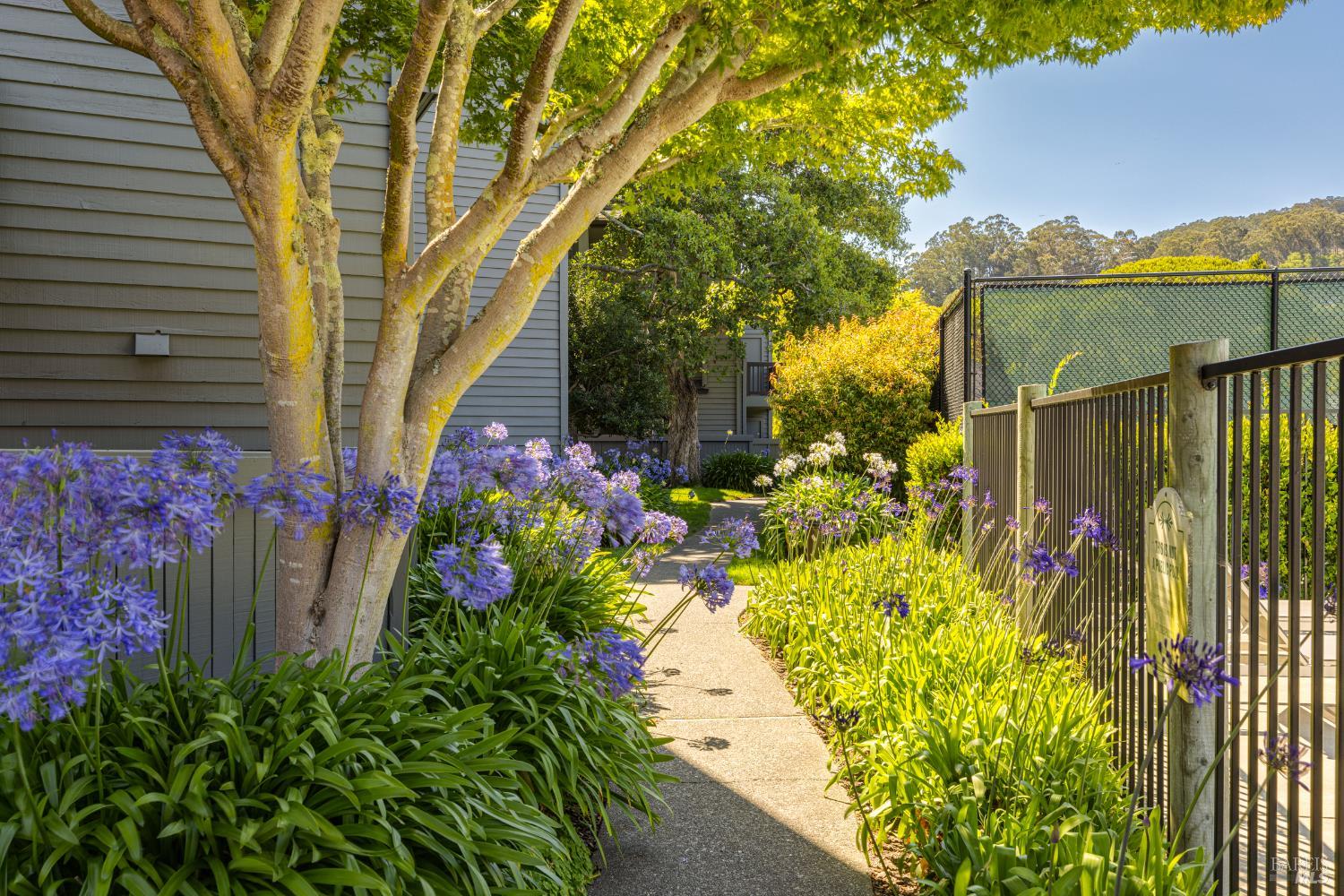Detail Gallery Image 29 of 34 For 62 Cypress Pl, Sausalito,  CA 94965 - 2 Beds | 2 Baths