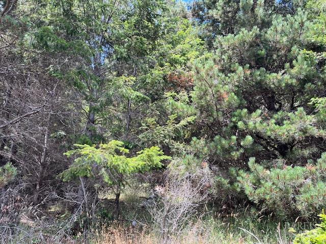Detail Gallery Image 3 of 3 For 22091 Lee Dr, Timber Cove,  CA 95450 - – Beds | – Baths