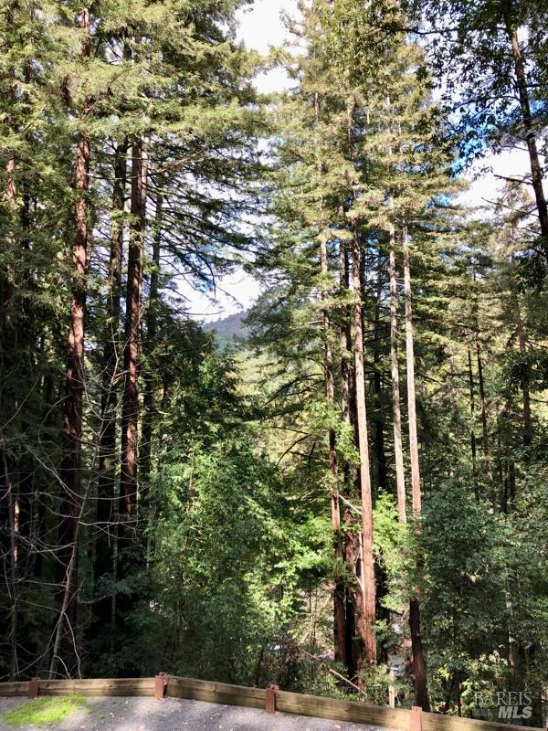 Detail Gallery Image 39 of 47 For 17410 Park Ave, Guerneville,  CA 95446 - – Beds | – Baths