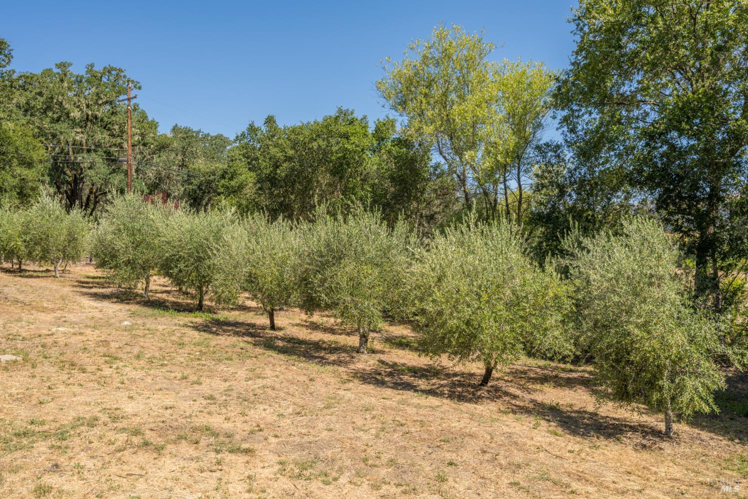 Detail Gallery Image 38 of 64 For 14856 Chalk Hill Rd, Healdsburg,  CA 95448 - 3 Beds | 2/1 Baths