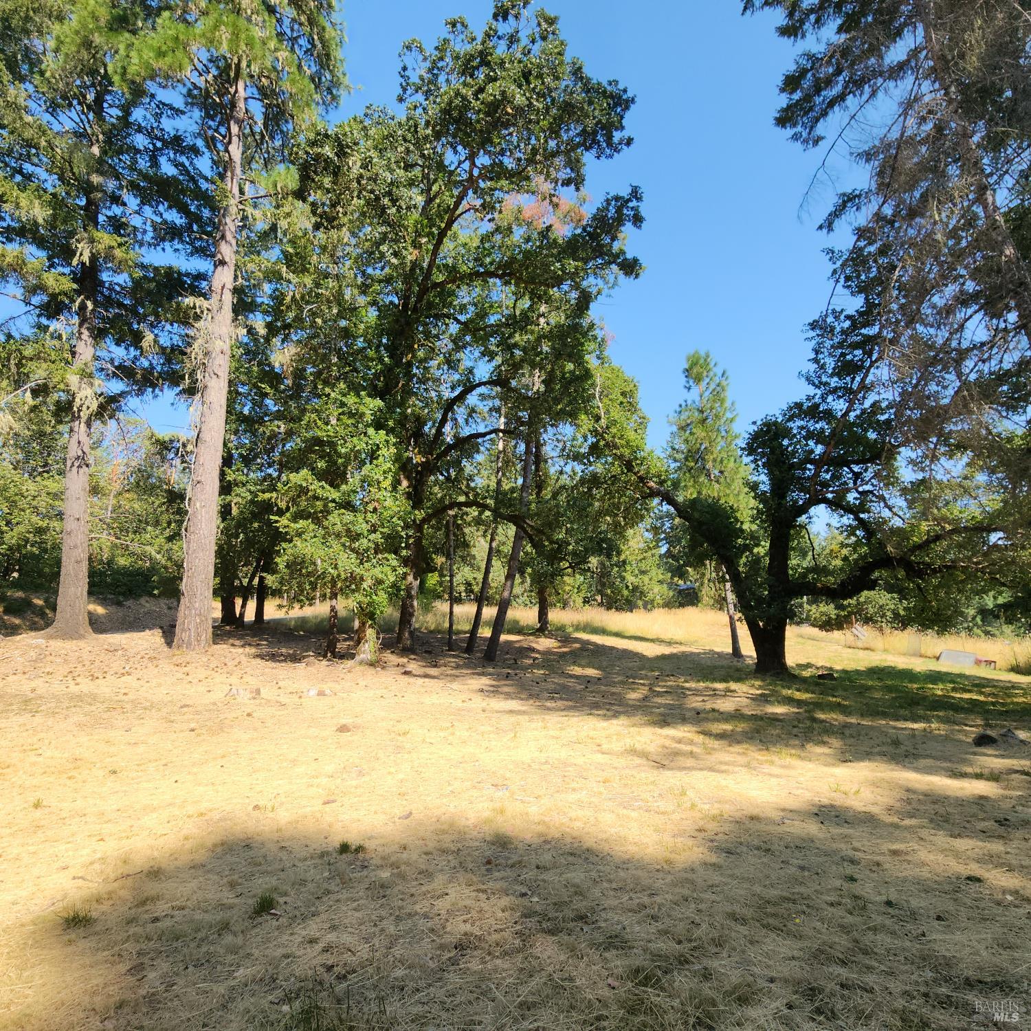 Detail Gallery Image 3 of 10 For 25331 Sherwood Rd, Willits,  CA 95490 - – Beds | – Baths