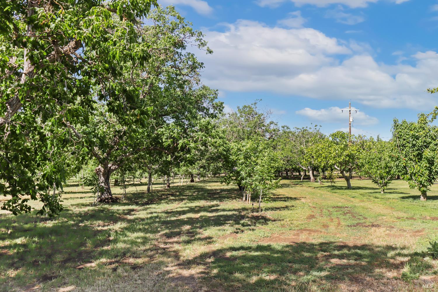 Detail Gallery Image 60 of 99 For 9192 Boyce Rd, Winters,  CA 95694 - 3 Beds | 2 Baths