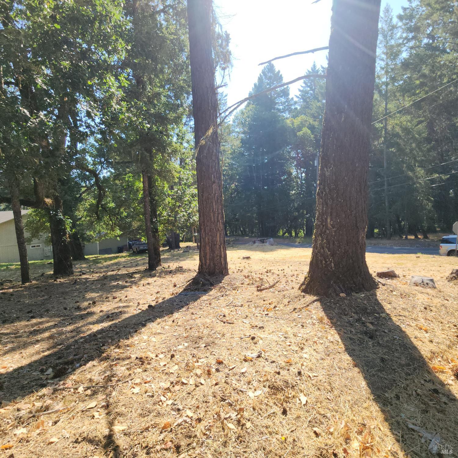 Detail Gallery Image 9 of 10 For 25331 Sherwood Rd, Willits,  CA 95490 - – Beds | – Baths