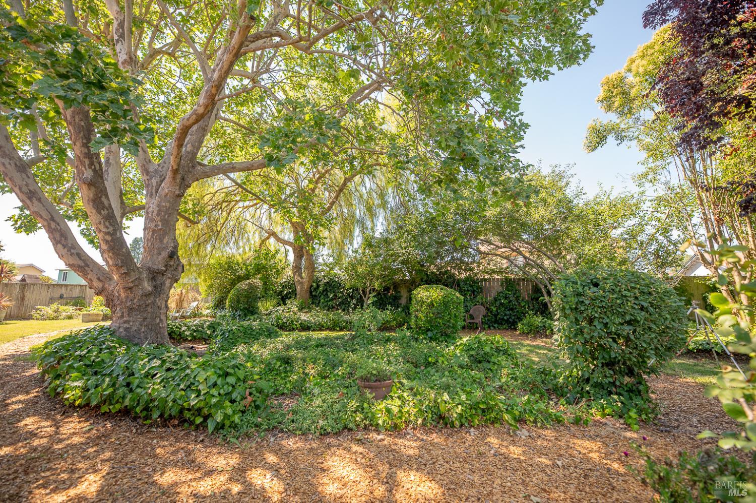 Detail Gallery Image 32 of 33 For 801 Livery Ct, Rohnert Park,  CA 94928 - 4 Beds | 2 Baths
