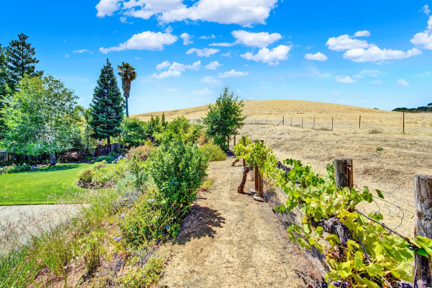 Detail Gallery Image 68 of 71 For 3560 Crownridge Ct, Fairfield,  CA 94534 - 5 Beds | 4 Baths