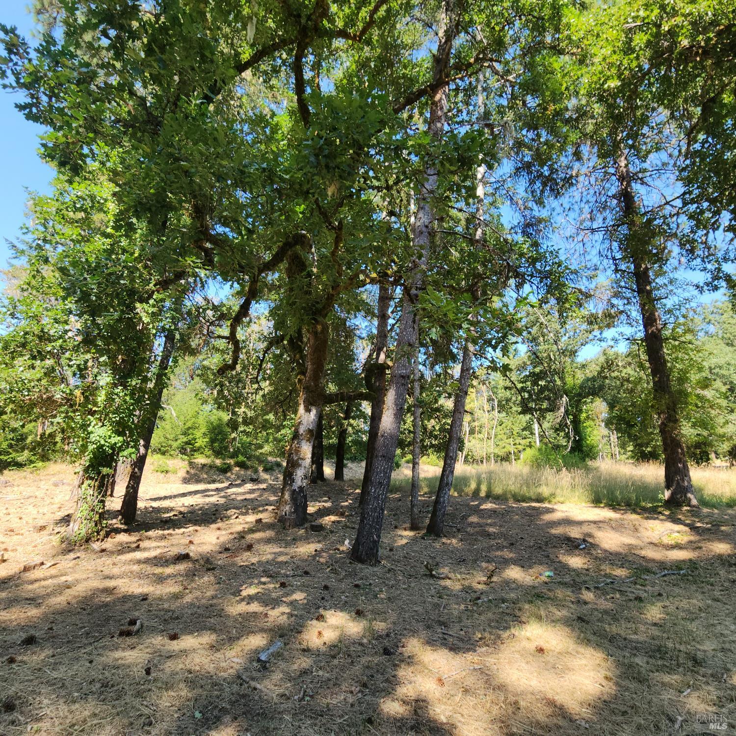 Detail Gallery Image 2 of 10 For 25331 Sherwood Rd, Willits,  CA 95490 - – Beds | – Baths