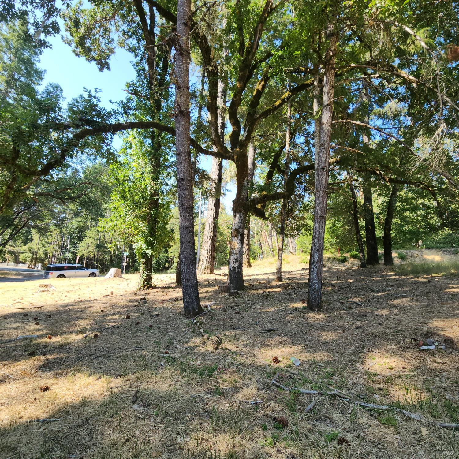 Detail Gallery Image 5 of 10 For 25331 Sherwood Rd, Willits,  CA 95490 - – Beds | – Baths