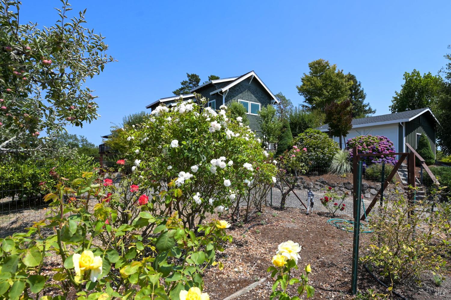 Detail Gallery Image 39 of 48 For 2547 Lewis Dr, Sebastopol,  CA 95472 - 3 Beds | 3 Baths