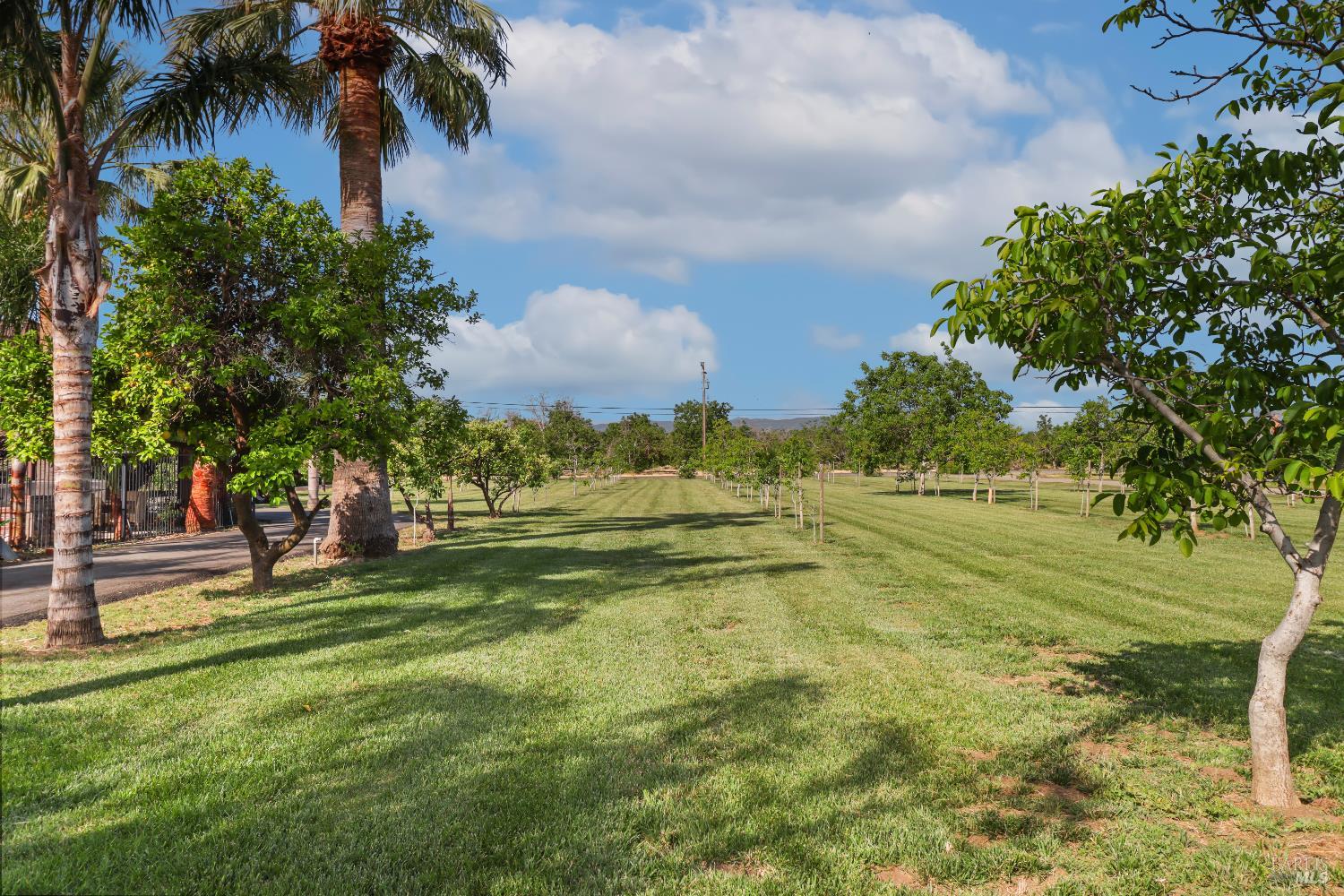 Detail Gallery Image 68 of 99 For 9192 Boyce Rd, Winters,  CA 95694 - 3 Beds | 2 Baths