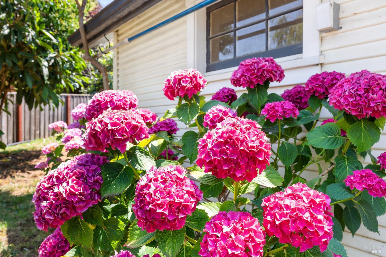 Detail Gallery Image 53 of 66 For 5740 Old Redwood Hwy, Penngrove,  CA 94951 - 3 Beds | 3 Baths