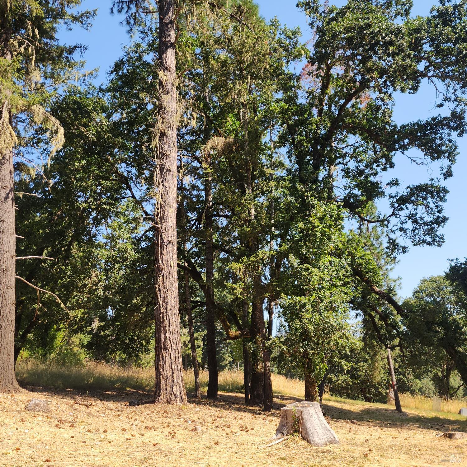 Detail Gallery Image 6 of 10 For 25331 Sherwood Rd, Willits,  CA 95490 - – Beds | – Baths